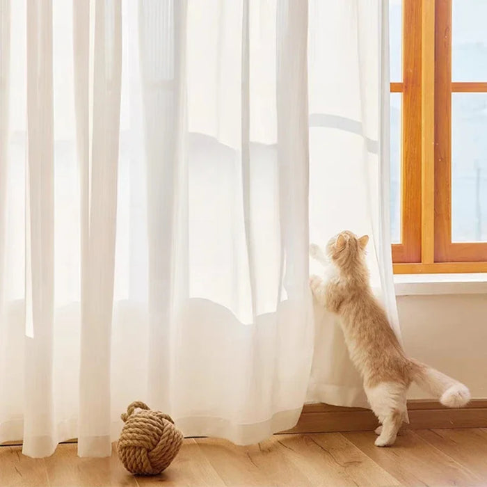 Voilage blanc léger laissant filtrer la lumière avec un chat curieux regardant par la fenêtre