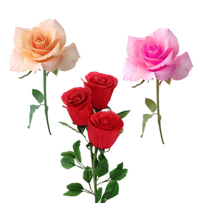 Autocollant mural rose romantique pour chambre