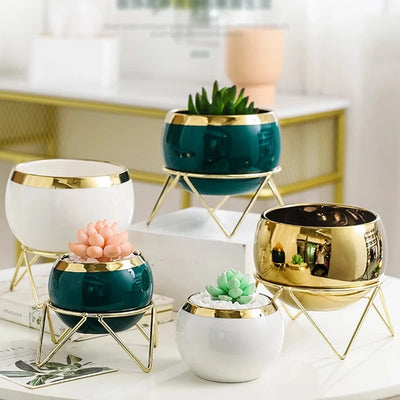 Cache-pot doré céramique design nordique avec plante succulente