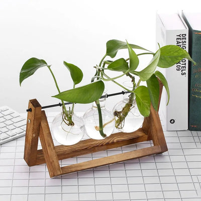 Vase hydroponique vintage en verre avec support bois blanc
