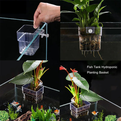 Porte-plante mural transparent pour aquarium suspendu