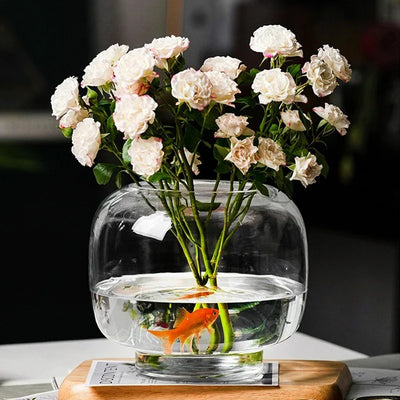 Grand vase en verre transparent pour plantes hydroponiques