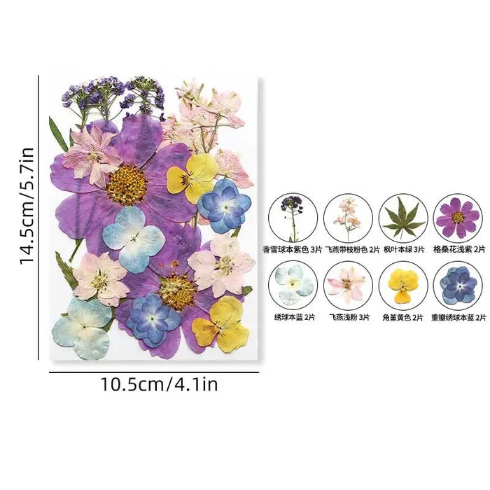 fleurs séchées violet bleu rose jaune naturelles décoration maison intérieur variés différents