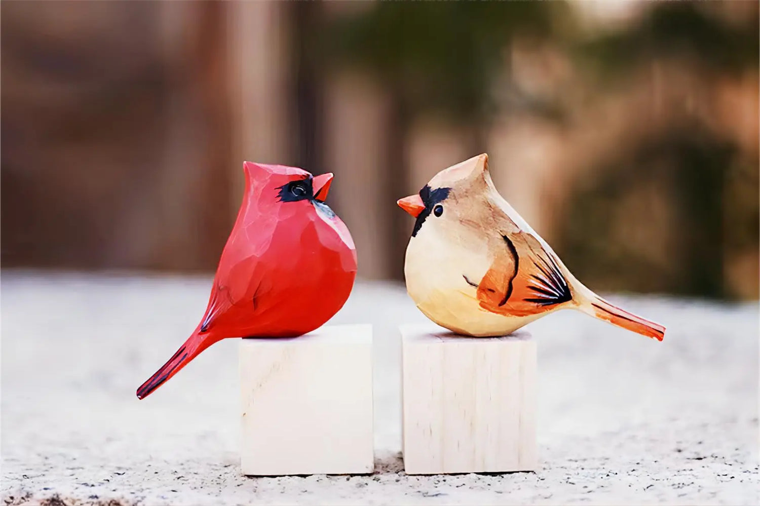 Deux oiseaux colorés, l'un rouge vif et l'autre blanc et brun, perchés sur un support blanc dans un environnement flou.