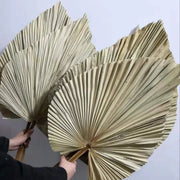 feuilles palmier séchées éventail bohème nature rustique décoration muriale plumes tropicalintérieur compositionartisanalunique