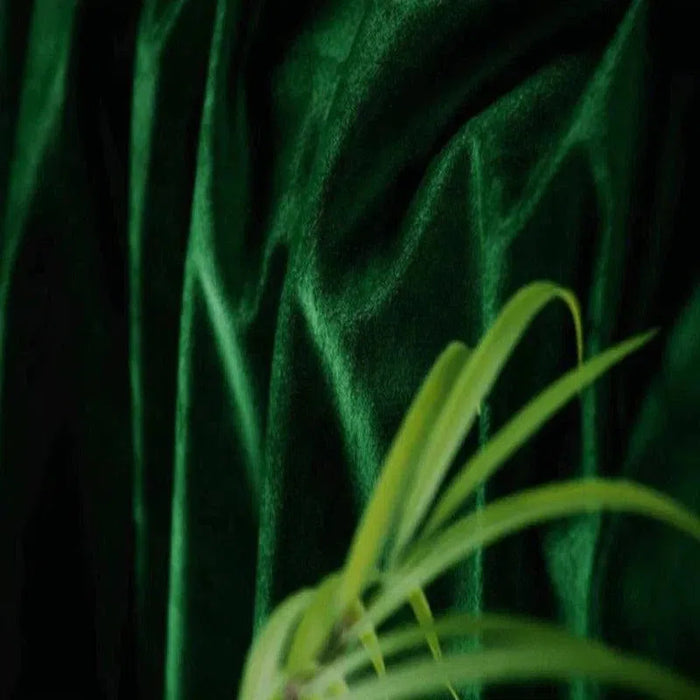 Image d'un fond vert profond associée à une touche naturelle de feuilles, évoquant une ambiance luxuriante et élégante. Parfait pour les décorations intérieures modernes et apaisantes.