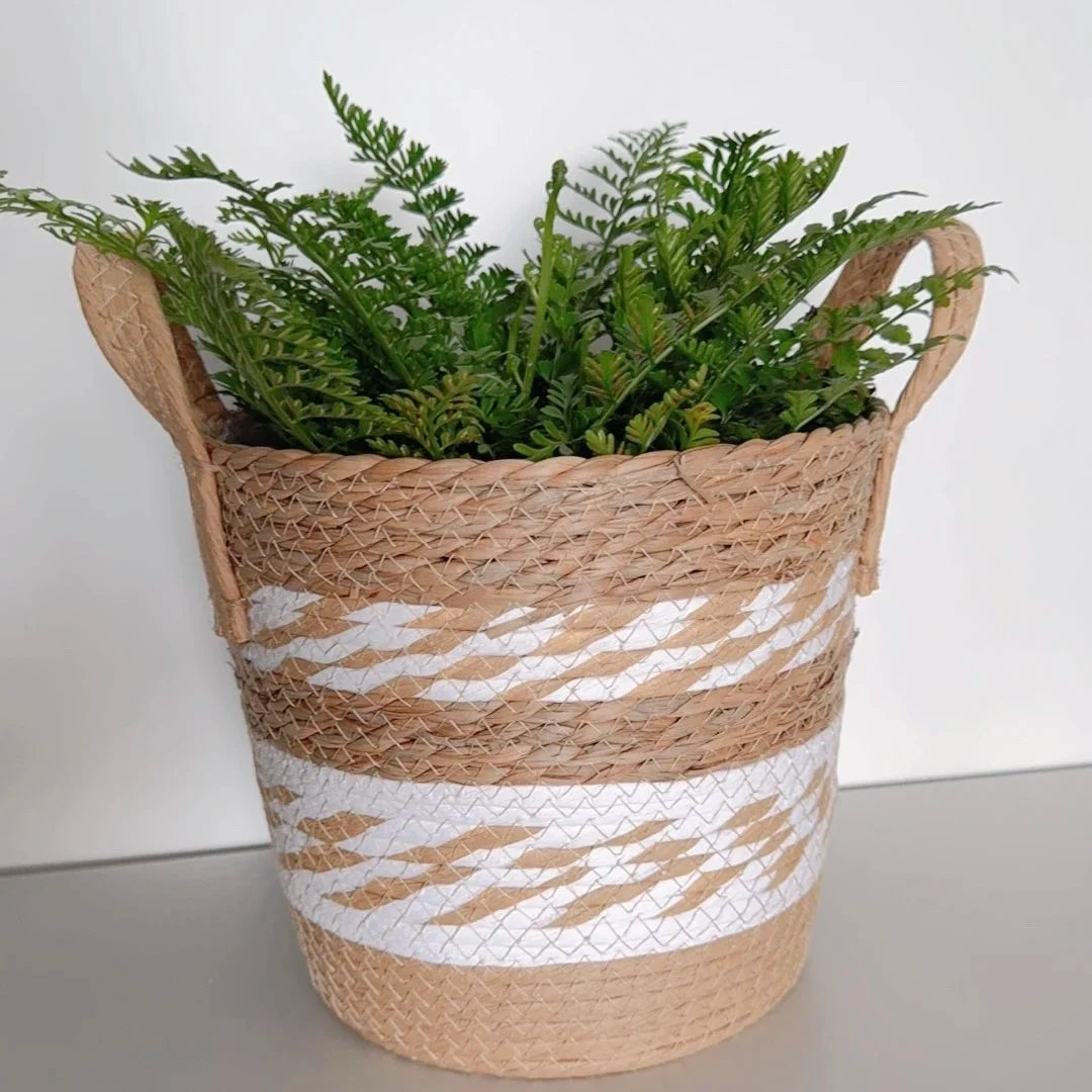 paniers rangement boho blanc rayures naturel bordure noire pliables stockage maison jardin