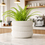 cache pot moderne rayures horizontales plante décoration maison plastique biodégradable écologique