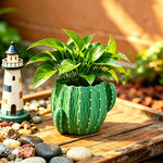 cache pot résine cactus épines relief moderne plante verte décoration chambre table