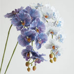 fleurs artificielles phalaenopsis têtes rose bleu violet blanc vertclair decoration interieur