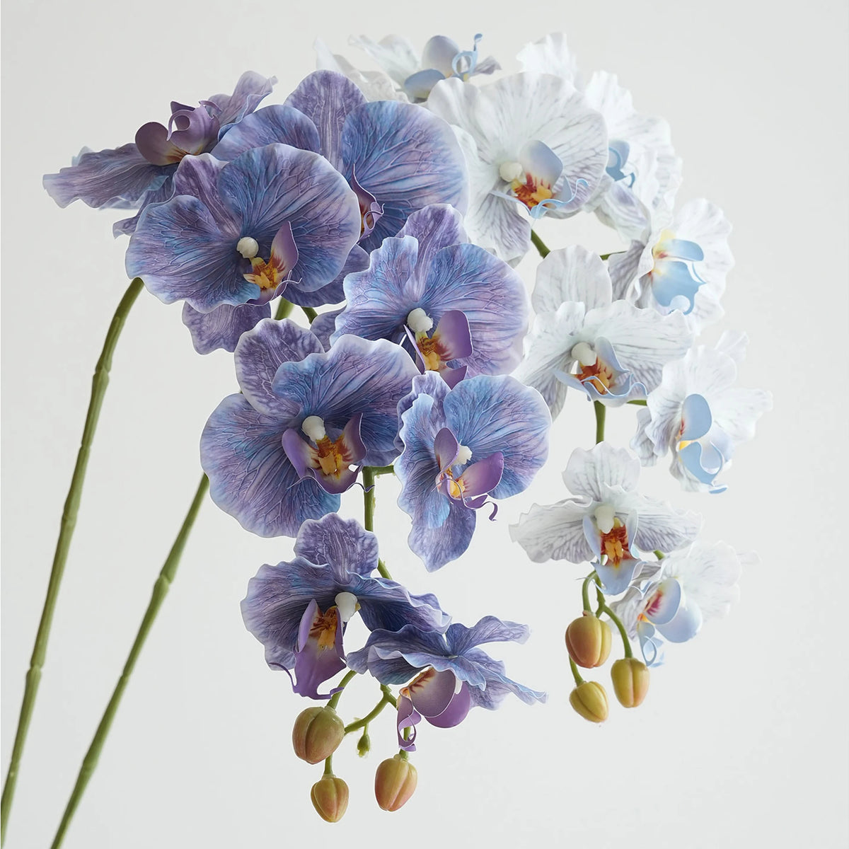 fleurs artificielles phalaenopsis têtes rose bleu violet blanc vertclair decoration interieur