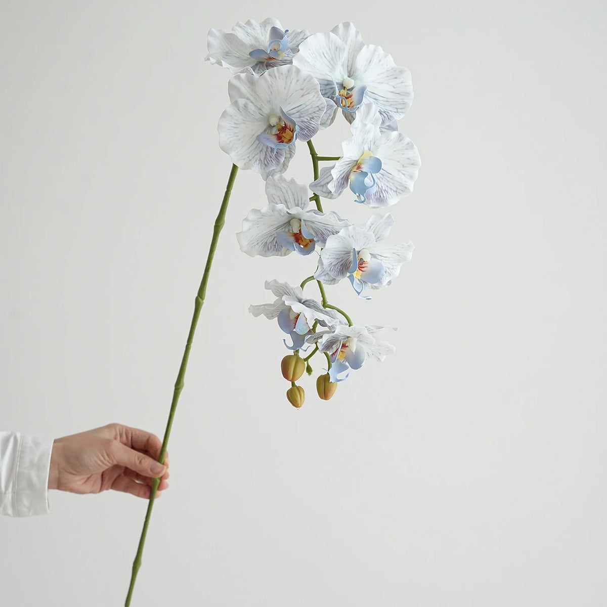 fleurs artificielles phalaenopsis têtes rose bleu violet blanc vertclair decoration interieur