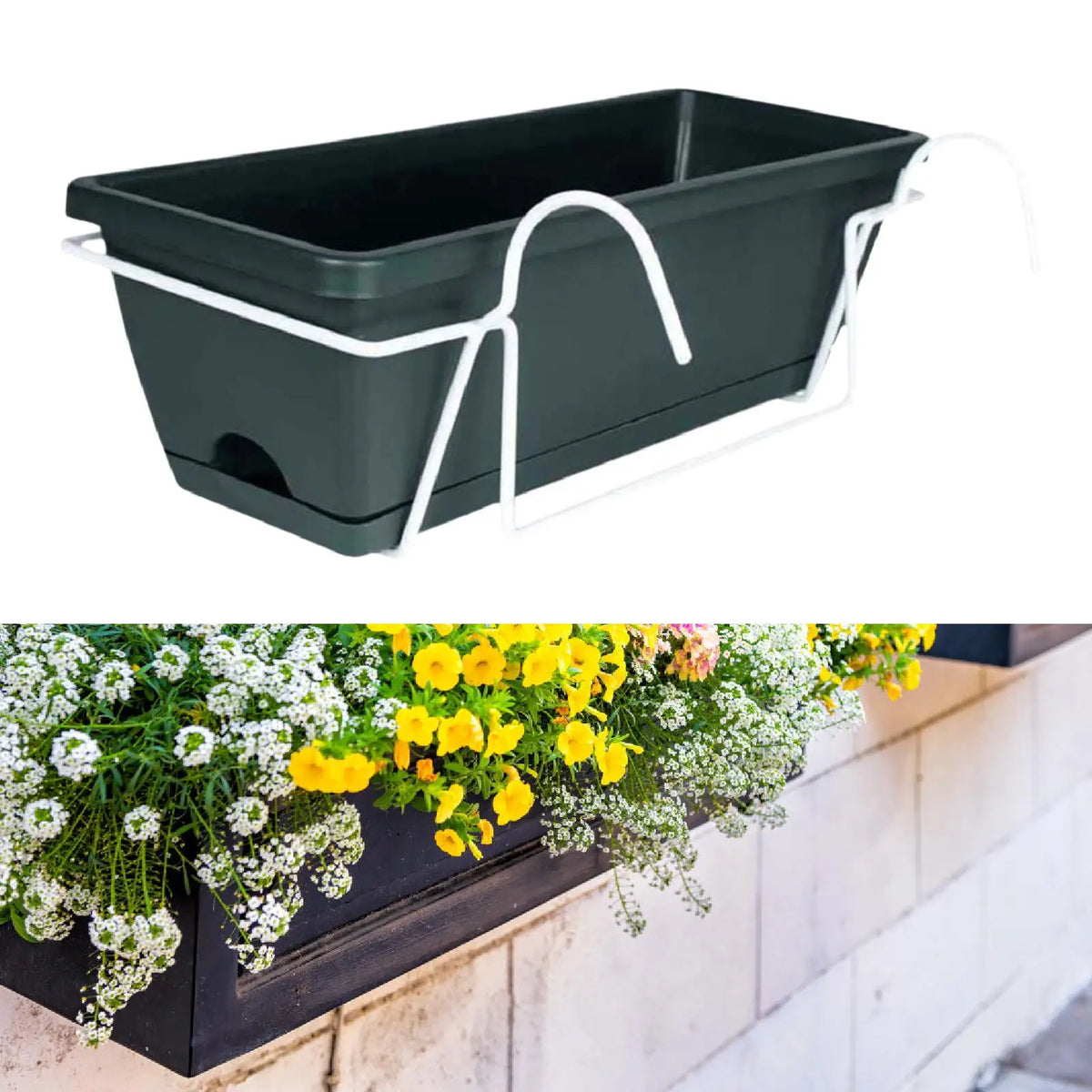 Bac fleurs suspendus moderne crochets métalliques vert foncé pot jardin