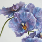 fleurs artificielles phalaenopsis têtes rose bleu violet blanc vertclair decoration interieur