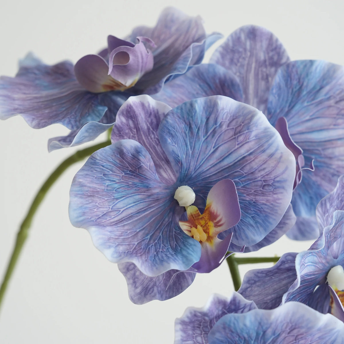 fleurs artificielles phalaenopsis têtes rose bleu violet blanc vertclair decoration interieur