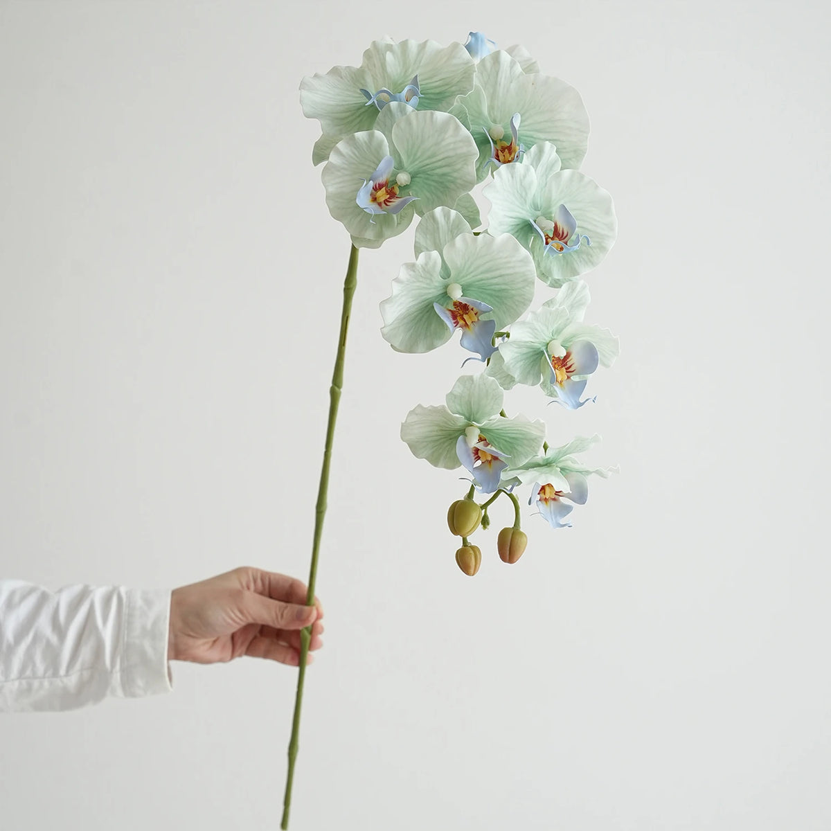 fleurs artificielles phalaenopsis têtes rose bleu violet blanc vertclair decoration interieur