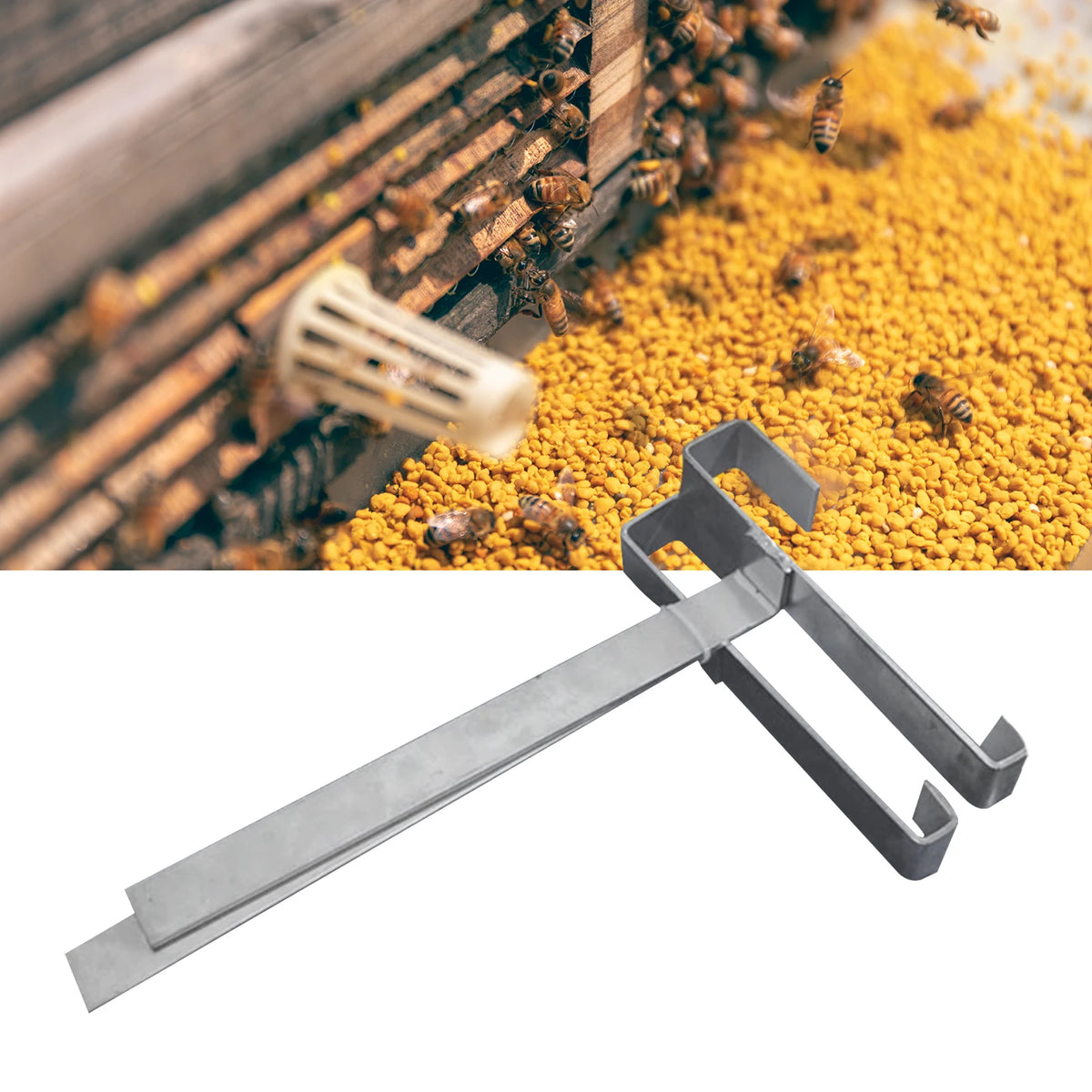 support ruche cadre acier inoxydable alvéolaire cire miel boite apiari apicultureoutil beekeeper équipement farmhouse