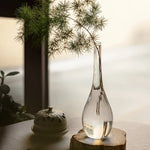 vases transparents modernes minimalistes arrangements floraux table zen