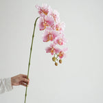 fleurs artificielles phalaenopsis têtes rose bleu violet blanc vertclair decoration interieur