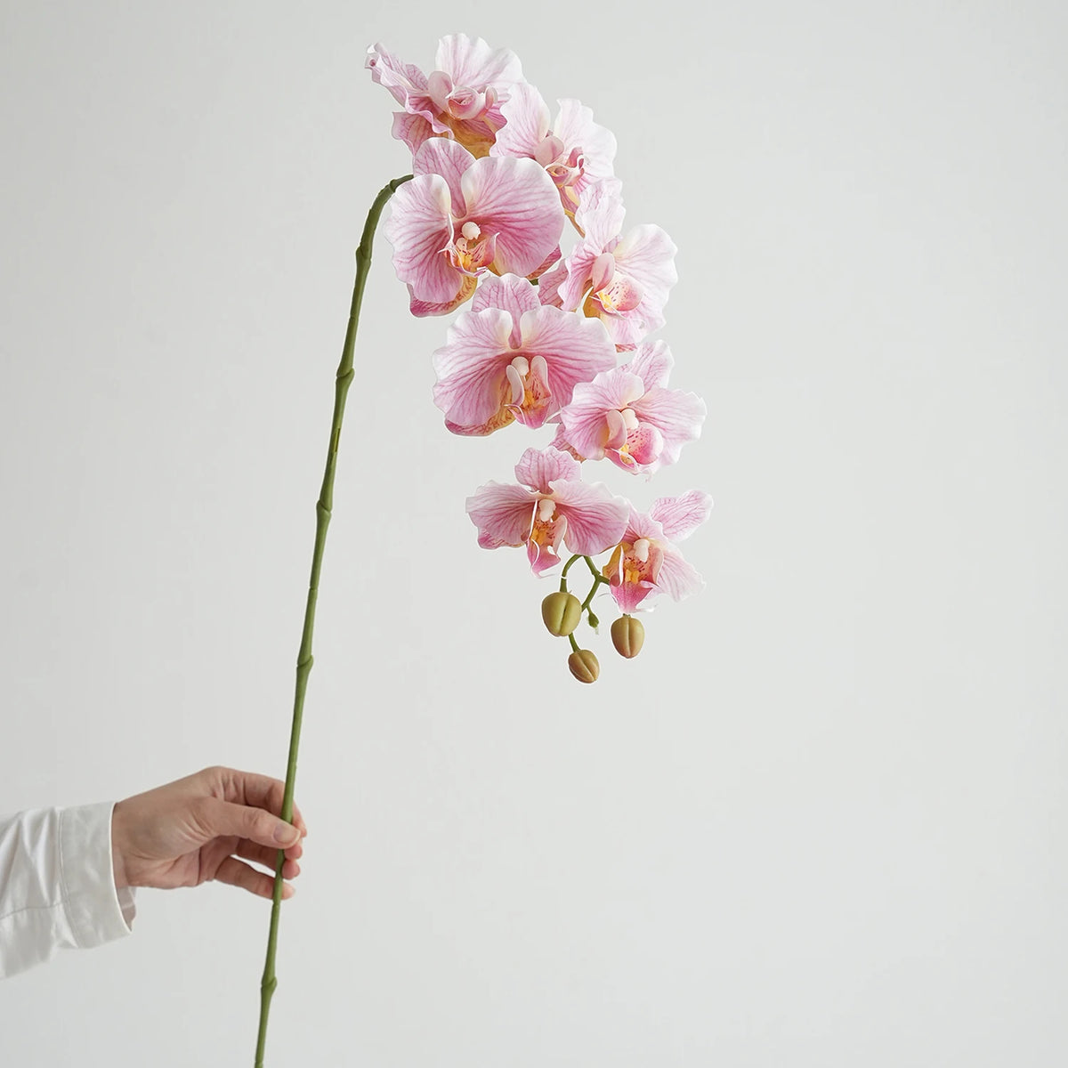 fleurs artificielles phalaenopsis têtes rose bleu violet blanc vertclair decoration interieur