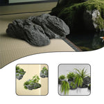roches artificielles modernes decoration jardin pierres naturelles fibres vegetales decor aquarium exterieur minimalistes
