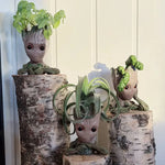 cache pot créatif marron vert texture bois personnage groot fleur intérieur décoration maison artisanat