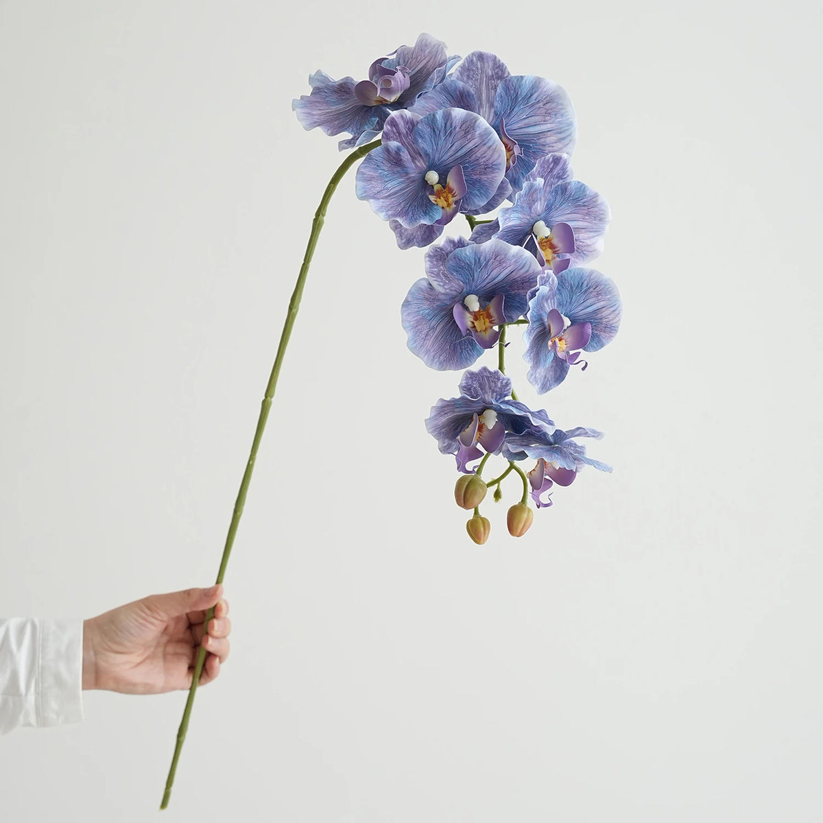 fleurs artificielles phalaenopsis têtes rose bleu violet blanc vertclair decoration interieur