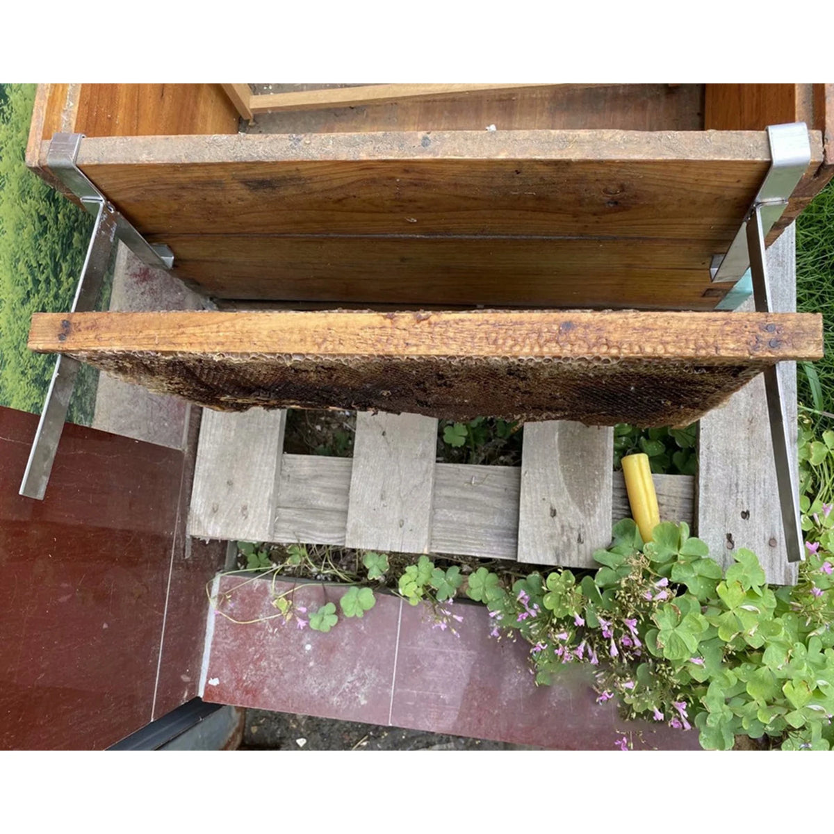 support ruche cadre acier inoxydable alvéolaire cire miel boite apiari apicultureoutil beekeeper équipement farmhouse