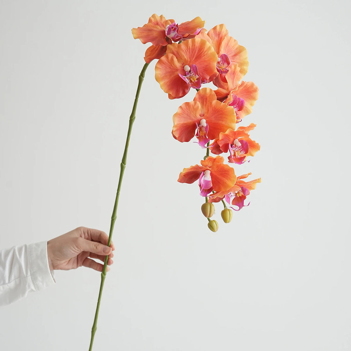 fleurs artificielles phalaenopsis têtes rose bleu violet blanc vertclair decoration interieur