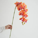 fleurs artificielles phalaenopsis têtes rose bleu violet blanc vertclair decoration interieur