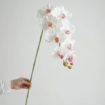 fleurs artificielles phalaenopsis têtes rose bleu violet blanc vertclair decoration interieur