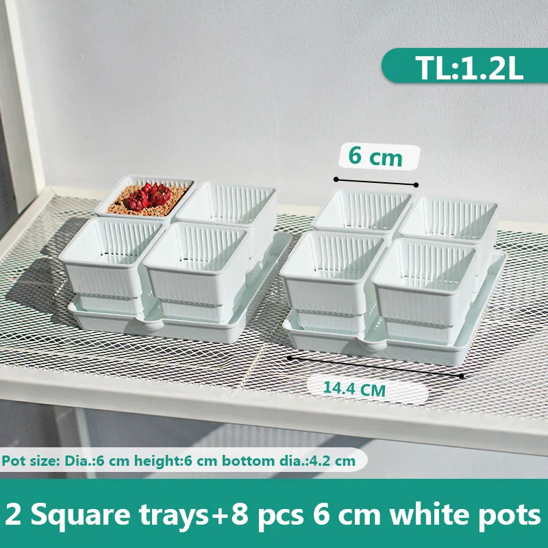 pots plastique blanc succulentes racines contrôle moderne perforations verticales jardin