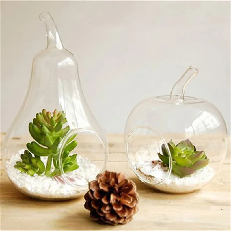 vase transparent pomme poire plantes succulentes gravier blanc écorces fleurs baies mousse minimaliste champêtre
