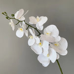 décoration intérieure orchidées artificielles blanc rose jaune feuilles vertes minimaliste mariage anniversaire baby shower