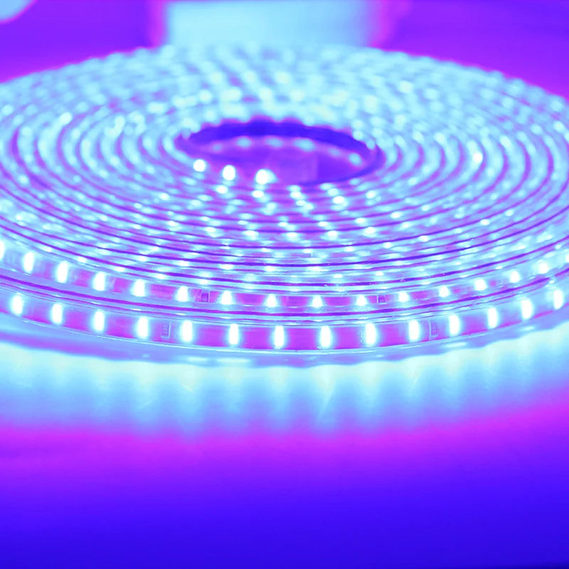 Ruban LED étanche IP67 de 50m installé sur une terrasse