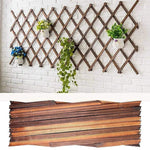 grille jardin bois marron structure diagonale moderne extensibleextérieur decoration escalade tapis