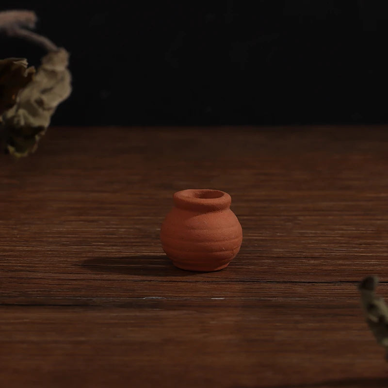 pots fleurs terre cuite orange traditionnels plante succulente décoration intérieure enfant fantaisie science fiction