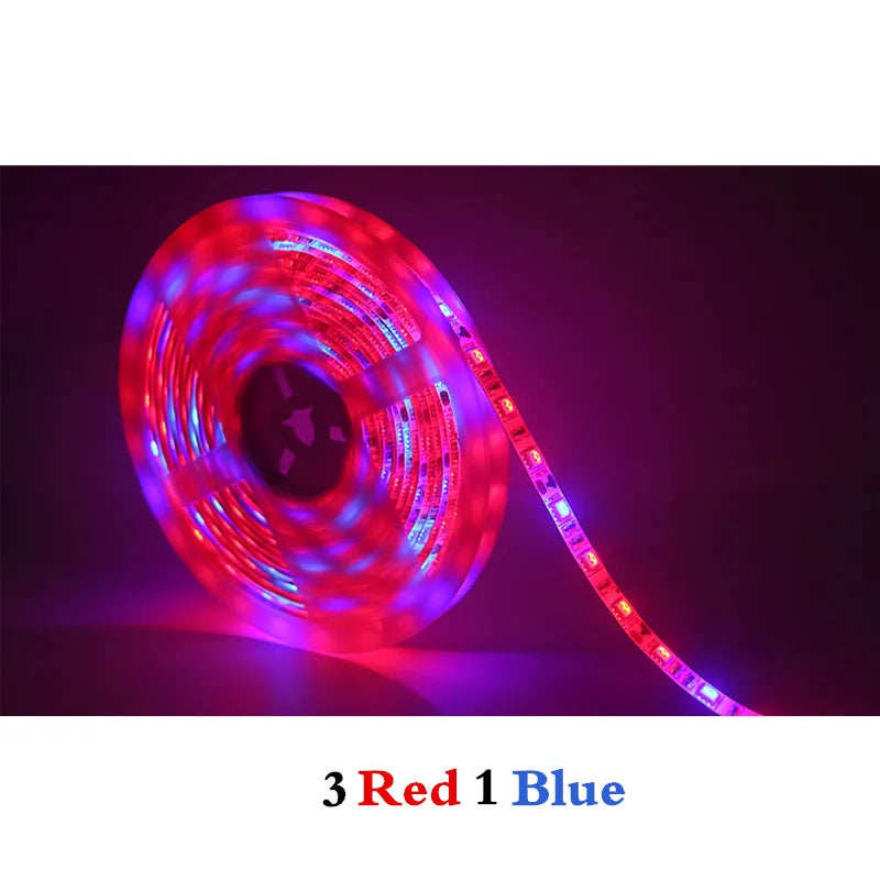 ruban led culture plantes 10m rouge bleu full spectrum adhésif moderne led phyto adaptable