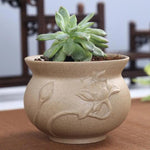 pot fleurs succulentes céramique poterie classique texture grès motif floral décoration
