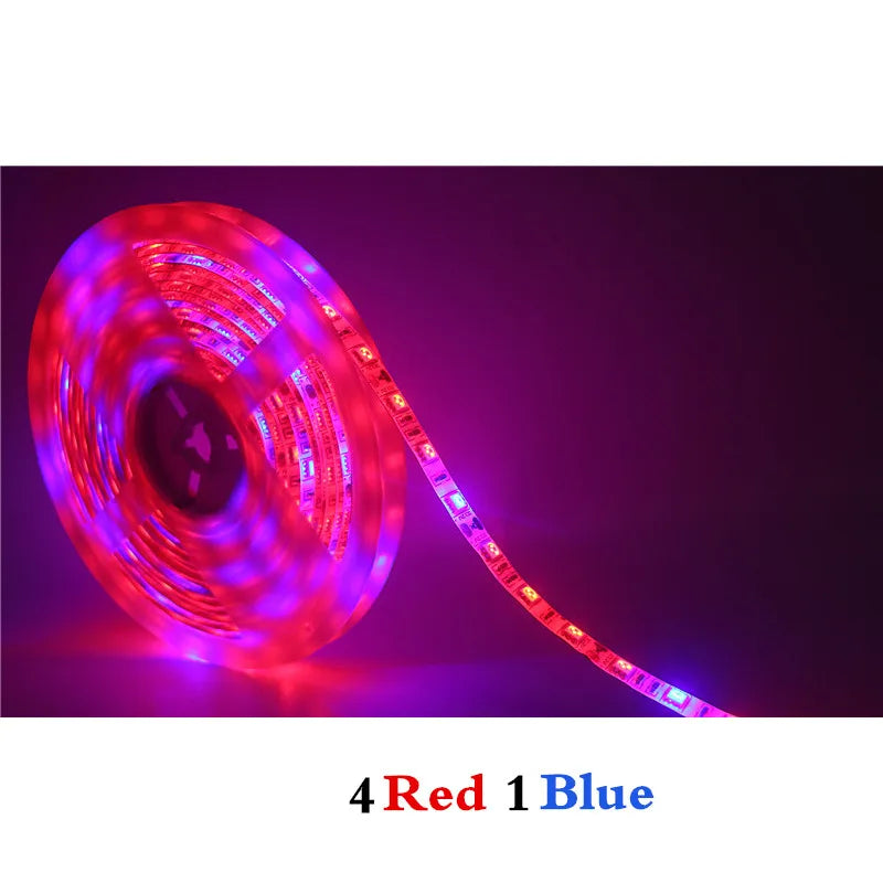 ruban led culture plantes 10m rouge bleu full spectrum adhésif moderne led phyto adaptable