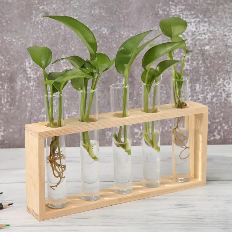 vase transparent bois moderne support table decoration hydroponics plant bonsai fleurs pots suspendus