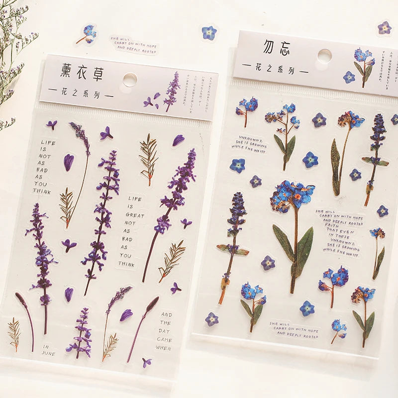 fleurs séchées décoratives naturelles adhésives transparentes variées sacs enfants papeterie mignonne
