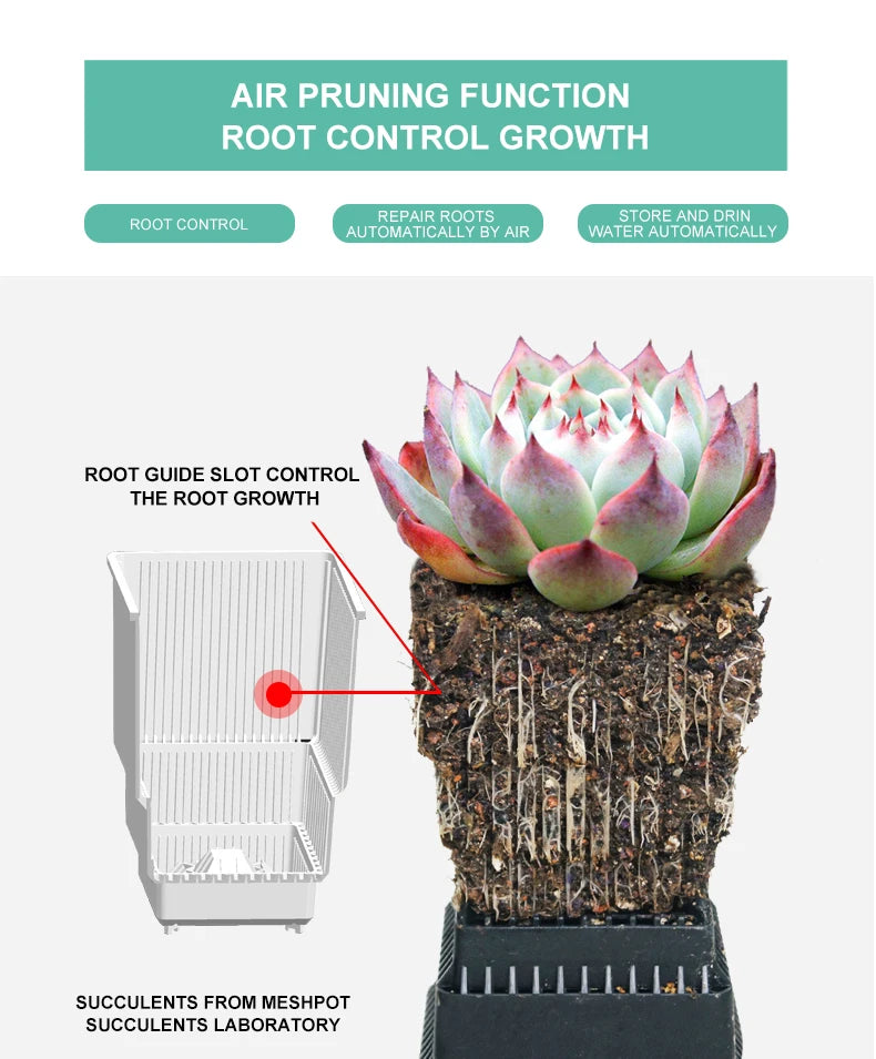 pots succulentes blancs moderne drainage ridge verticale pots différents tailles plateau
