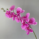 décoration intérieure orchidées artificielles blanc rose jaune feuilles vertes minimaliste mariage anniversaire baby shower