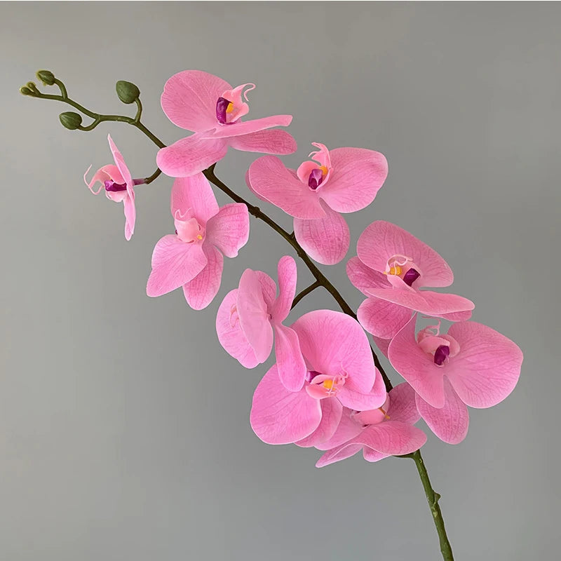 décoration intérieure orchidées artificielles blanc rose jaune feuilles vertes minimaliste mariage anniversaire baby shower