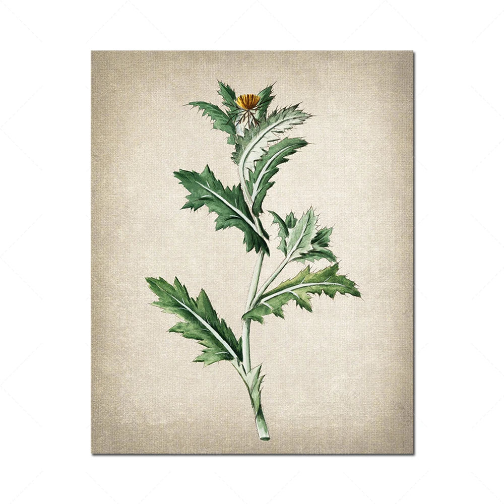 Cette image montre une illustration d'une fleur de pissenlit avec ses feuilles vertes et sa fleur jaune sur un fond beige vintage.