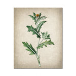 Cette image montre une illustration d'une fleur de pissenlit avec ses feuilles vertes et sa fleur jaune sur un fond beige vintage.