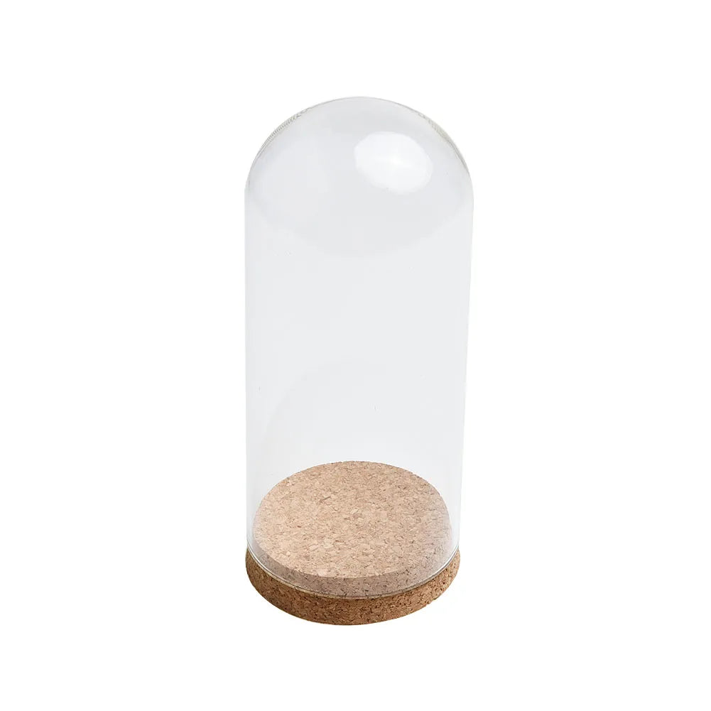 cloche verre transparent liège base décoration intérieure fleurs séchées classique moderne rusticité