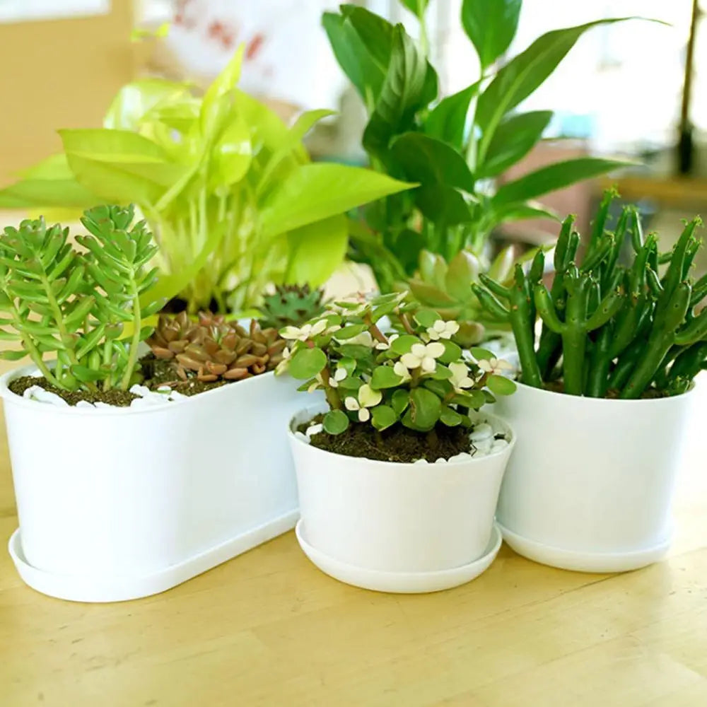 Pot fleurs blanc moderne plateau trous drainage petite plante intérieure plastique