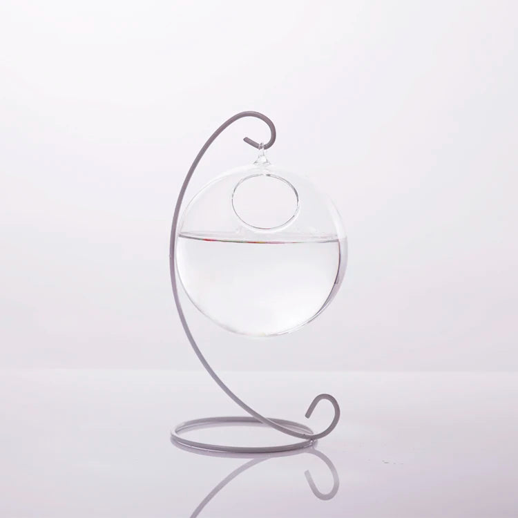 vase suspendu moderne aquarium transparent poisson plante artificielle anneau métalliqueintérieur table